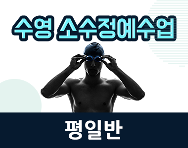 수영 소수그룹과정 평일